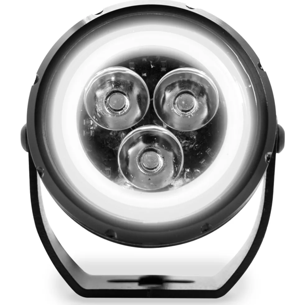 Barracuda High Beam
